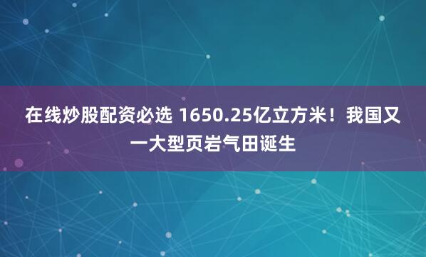 在线炒股配资必选 1650.25亿立方米！我国又一大型页岩气田诞生